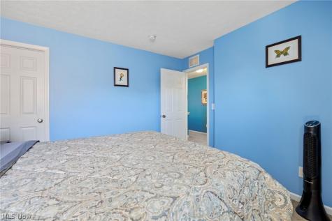 9961 Colmanara Drive Aurora OH 44202