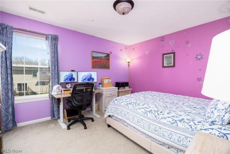 9961 Colmanara Drive Aurora OH 44202