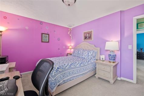 9961 Colmanara Drive Aurora OH 44202