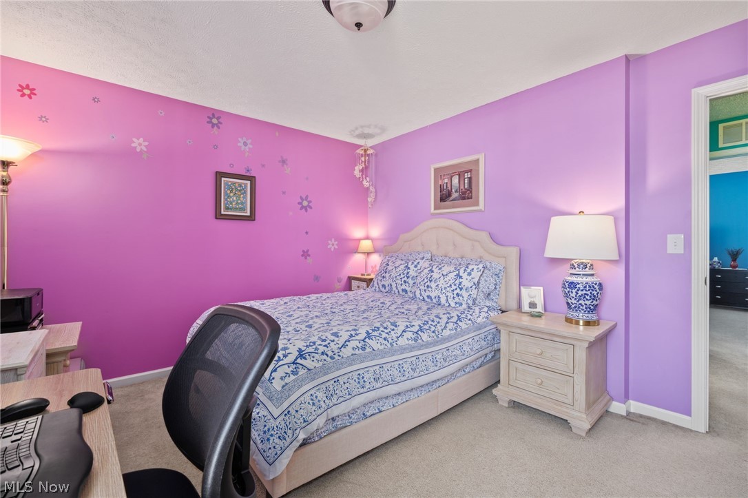 9961 Colmanara Drive Aurora OH 44202