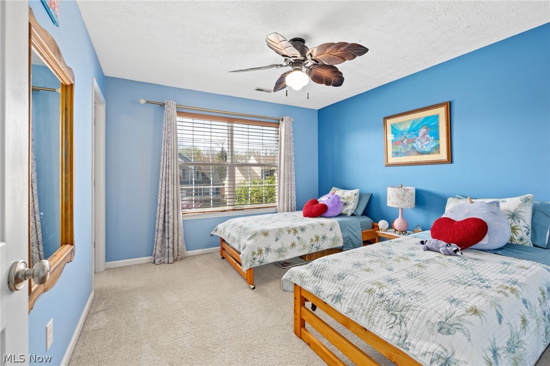 9961 Colmanara Drive Aurora OH 44202