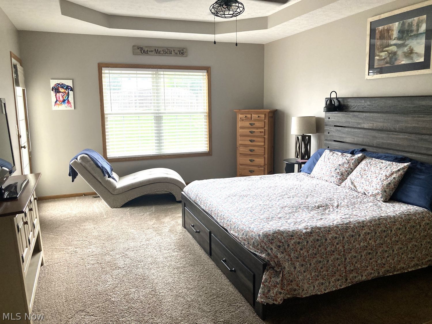 1103 Greenwood Court Medina OH 44256