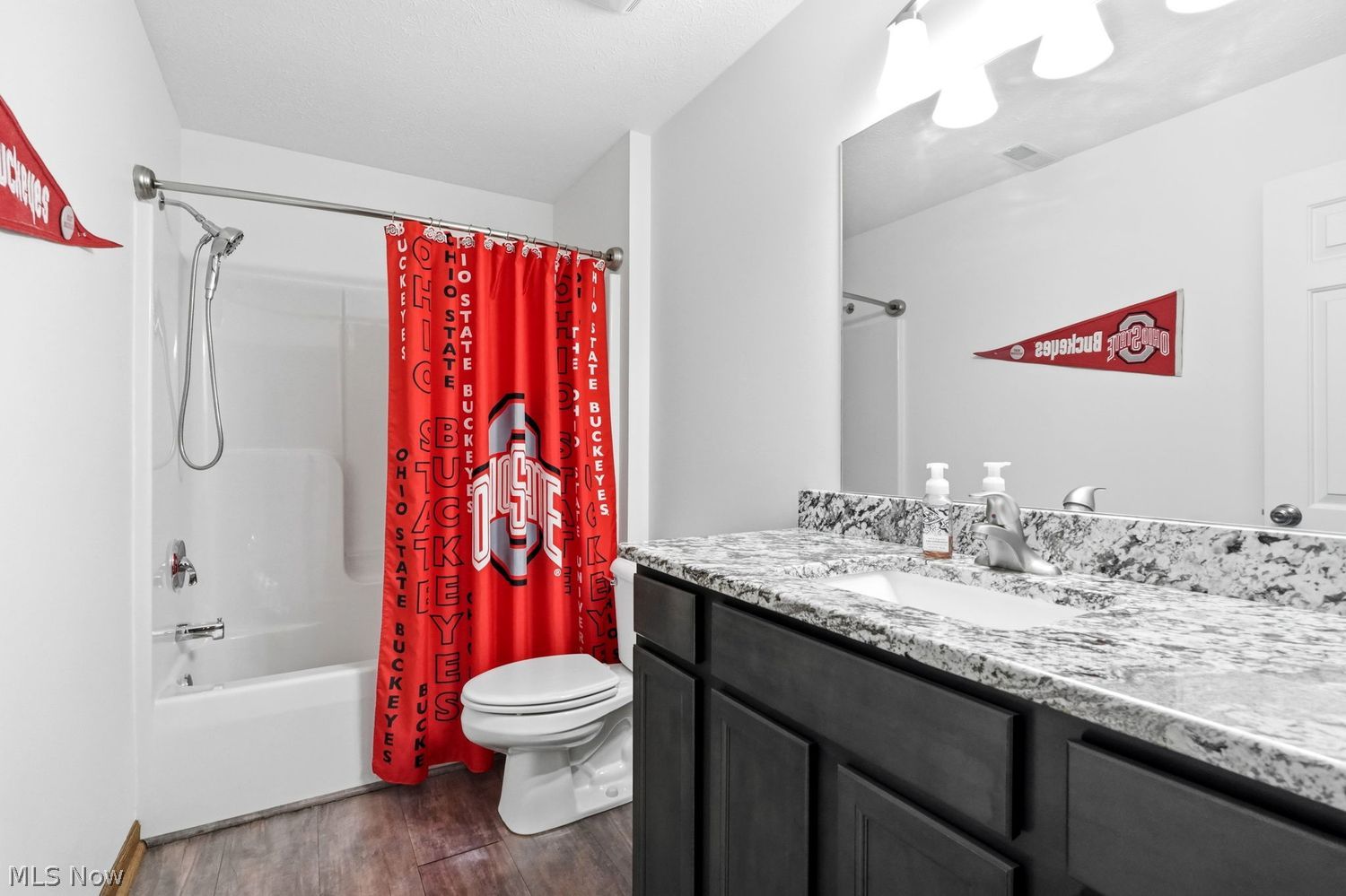 1103 Greenwood Court Medina OH 44256