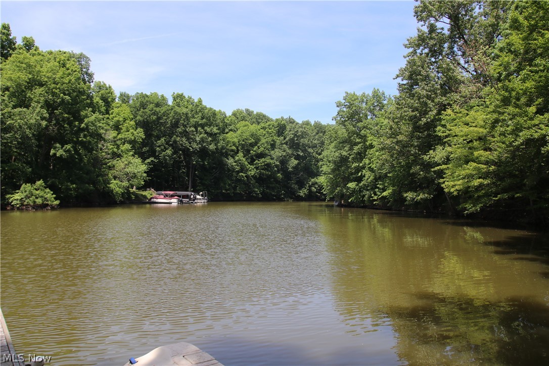 10024 Cummins Lane Deerfield OH 44411