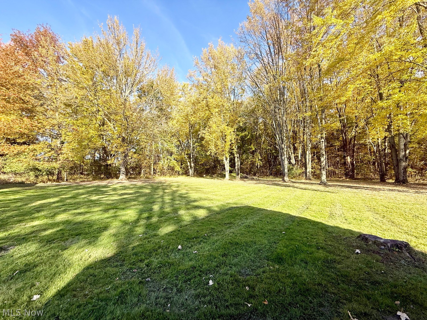 663 S Lake Street South Amherst OH 44001