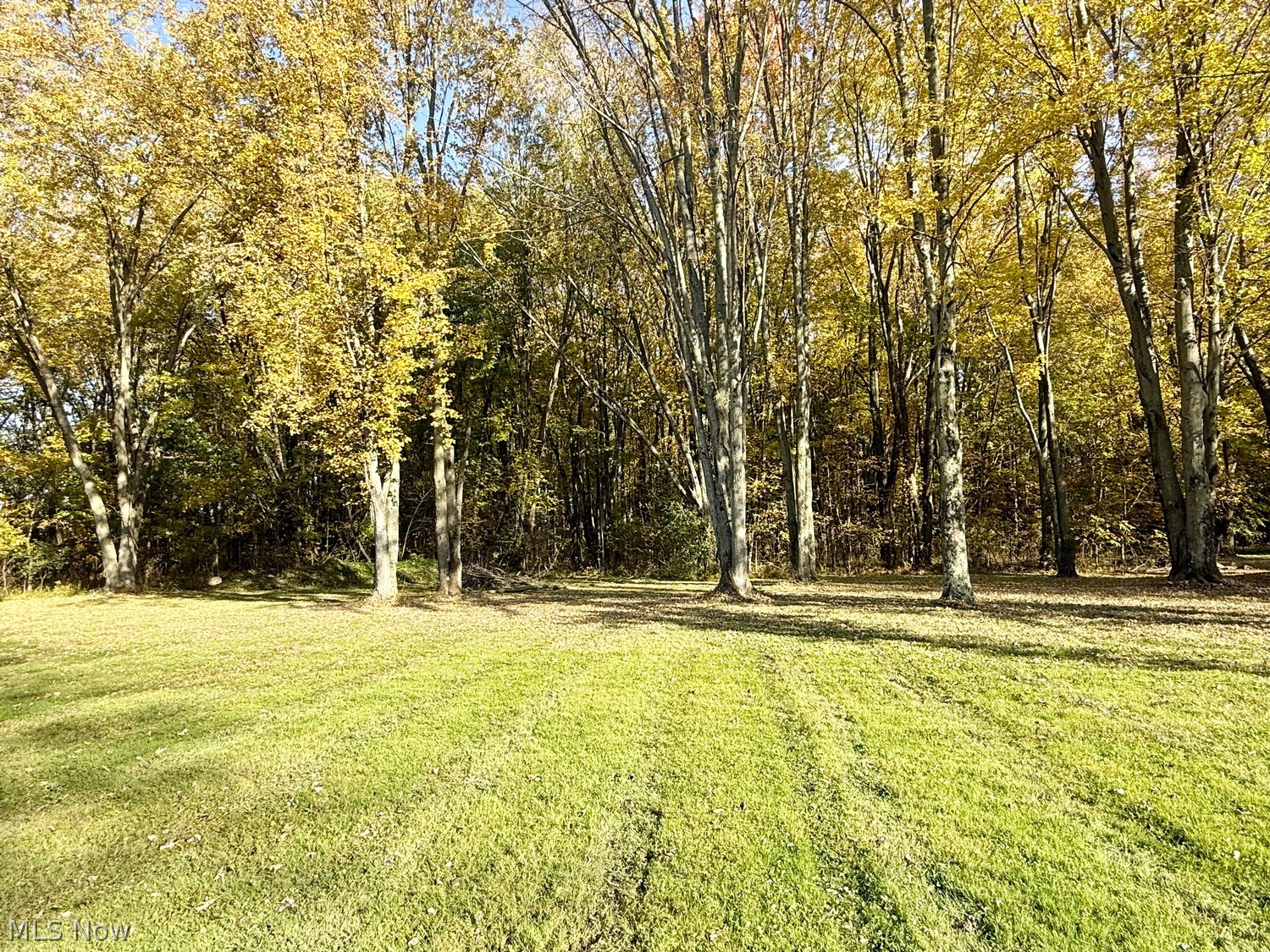 663 S Lake Street South Amherst OH 44001