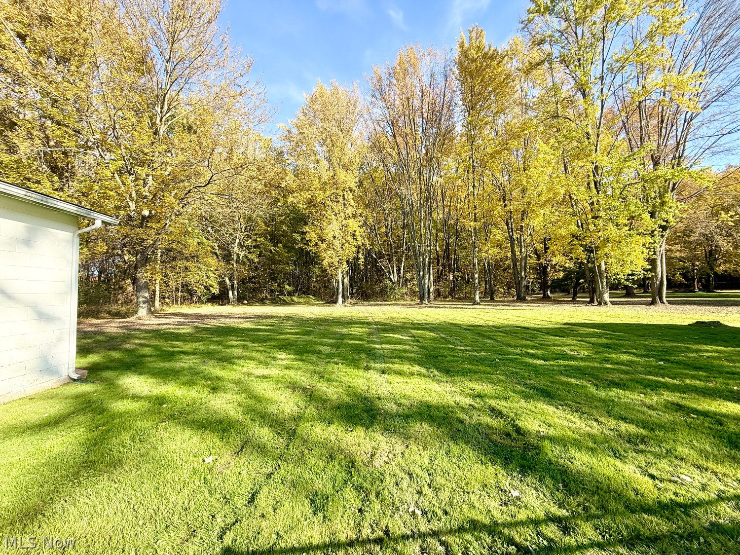 663 S Lake Street South Amherst OH 44001