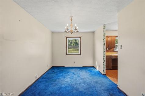 7974 Buffham Road Lodi OH 44254