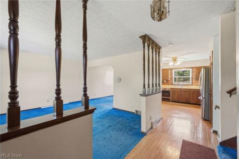 7974 Buffham Road Lodi OH 44254
