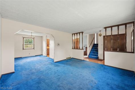 7974 Buffham Road Lodi OH 44254