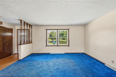 7974 Buffham Road Lodi OH 44254