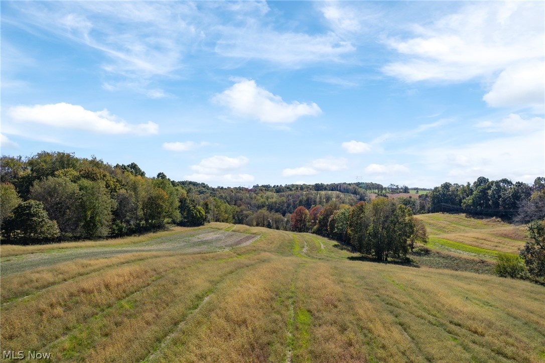 6031 Raindrop Road SE Amsterdam OH 43903