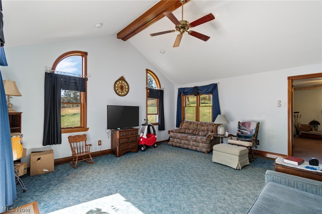 6031 Raindrop Road SE Amsterdam OH 43903
