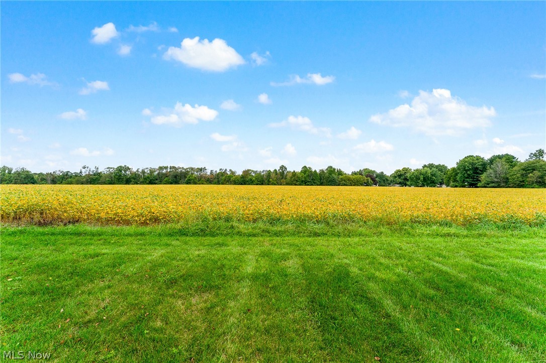 5290 Skye Drive New Middletown OH 44442