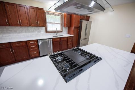 25429 Tyndall Falls Drive Olmsted Falls OH 44138