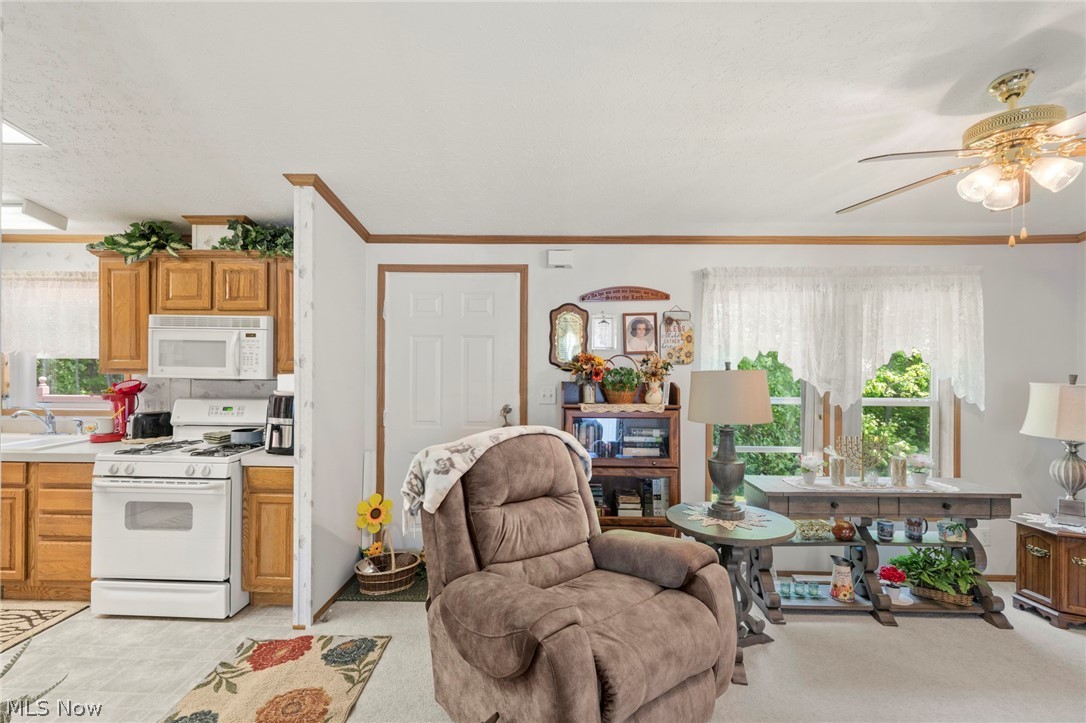 670 Tern Court Streetsboro OH 44241