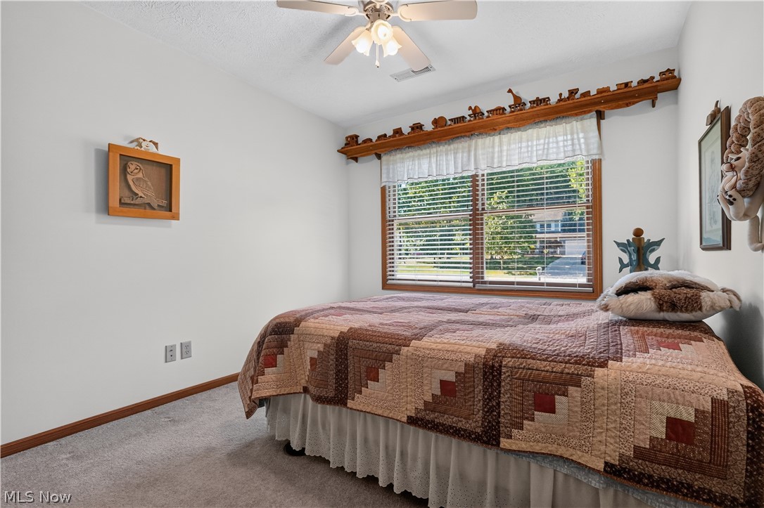 341 W Cedar Street Jefferson OH 44047