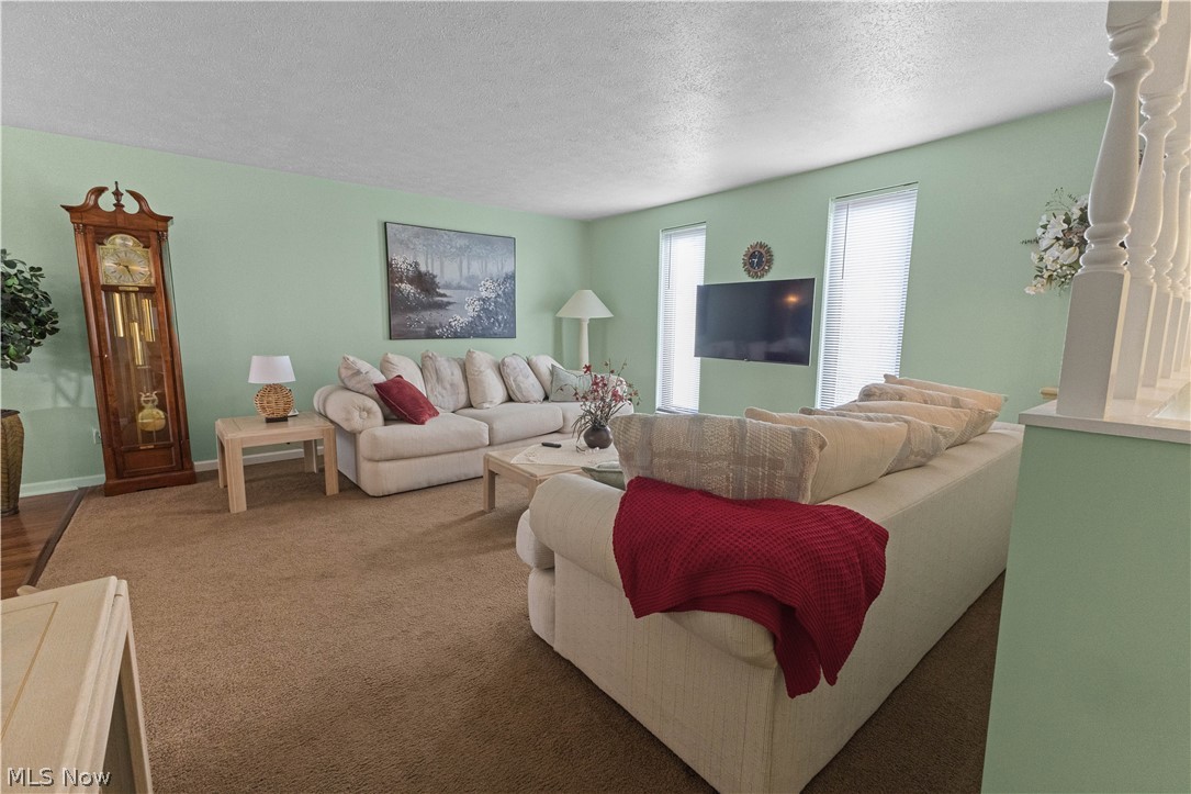 132 Tera Manor Wintersville OH 43953