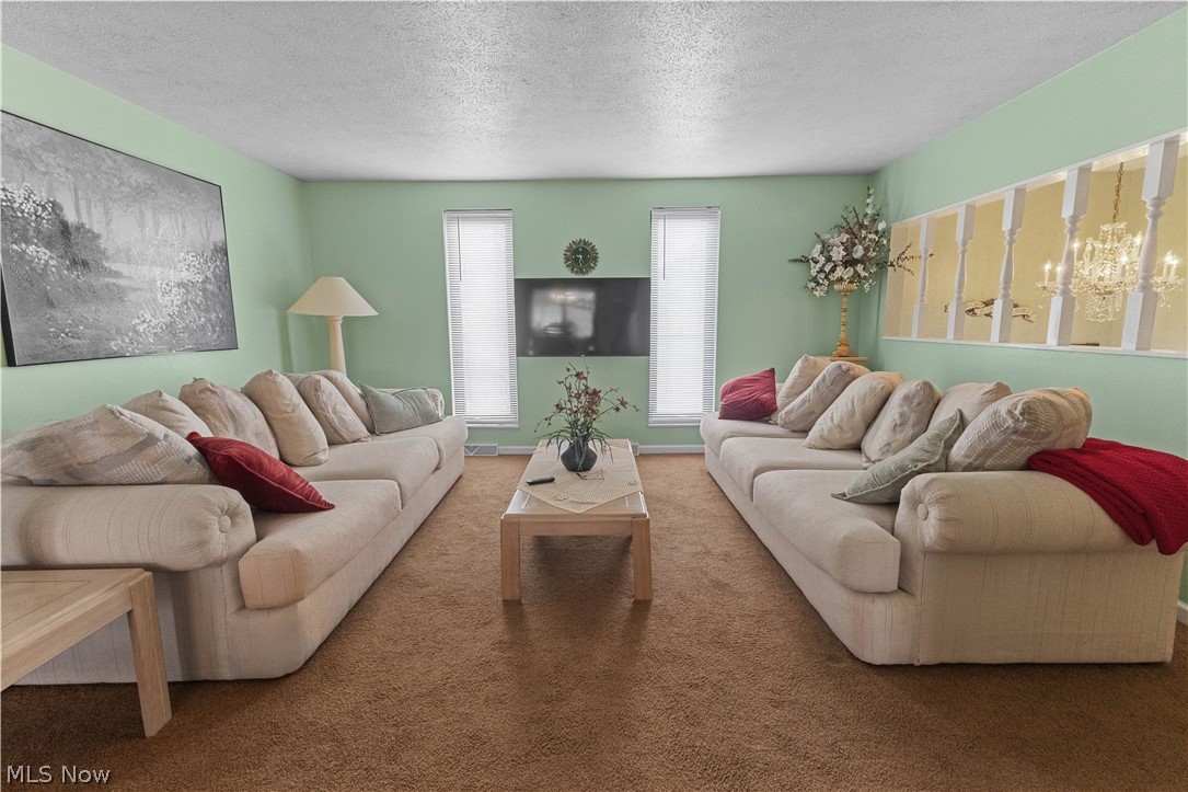 132 Tera Manor Wintersville OH 43953