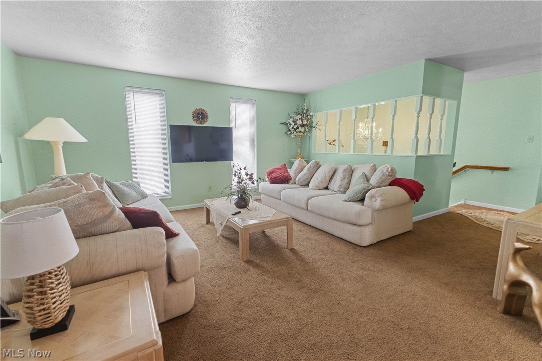 132 Tera Manor Wintersville OH 43953
