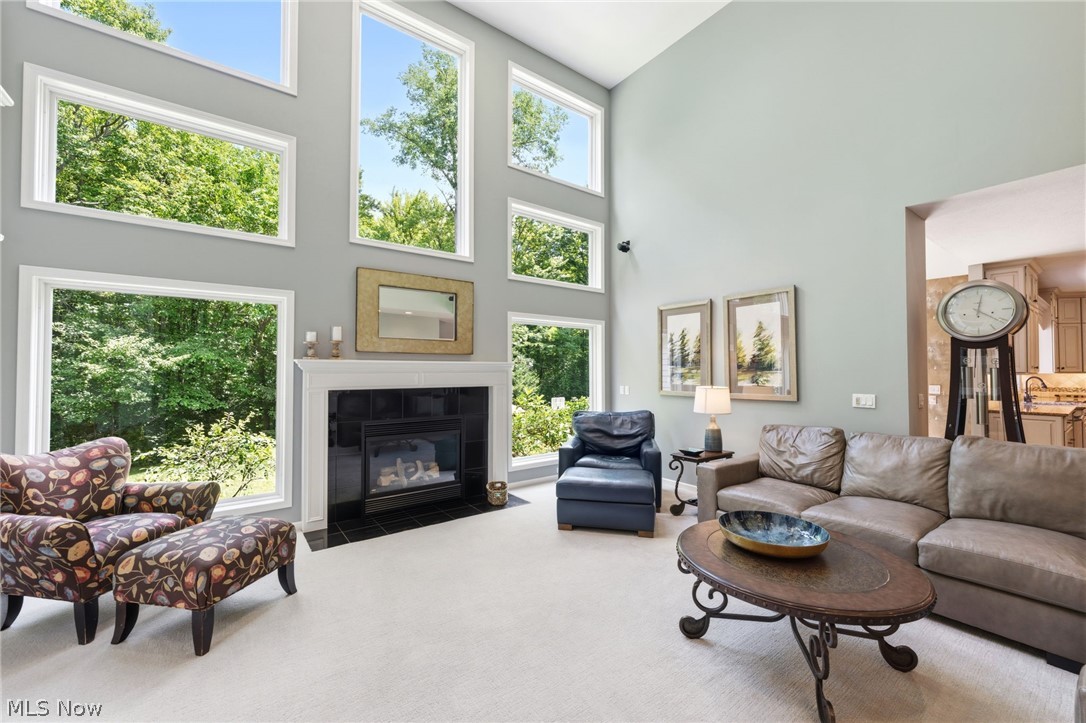 9305 Roryanna Drive Chardon OH 44024