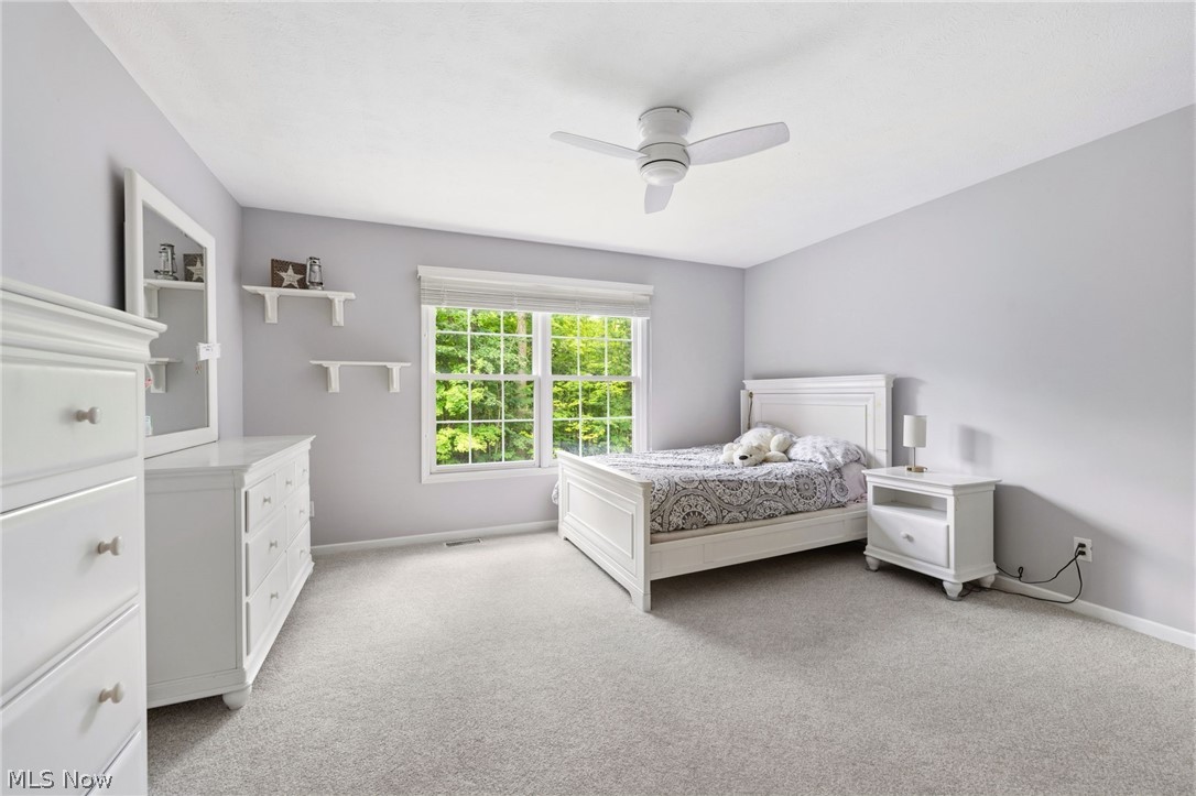 9305 Roryanna Drive Chardon OH 44024