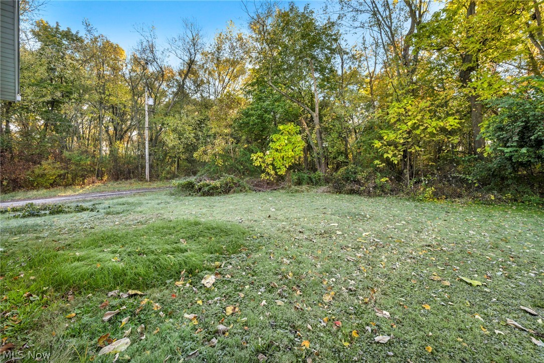 1245 Jersey Street Alliance OH 44601