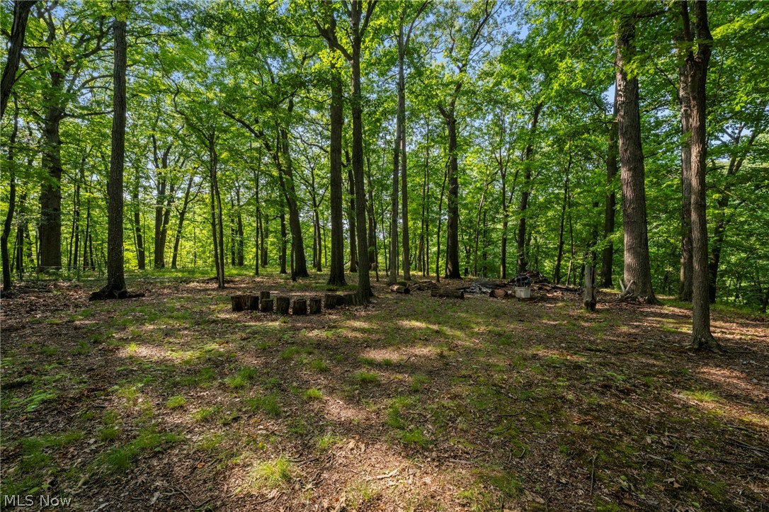 3554 Atherstone Road Cleveland Heights OH 44121