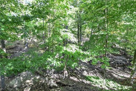 3240 Forest Overlook Drive Seven Hills OH 44131