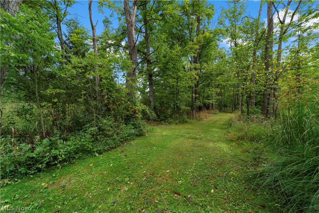 7878 Prouty Road Lodi OH 44254