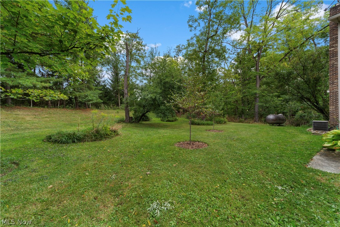 7878 Prouty Road Lodi OH 44254