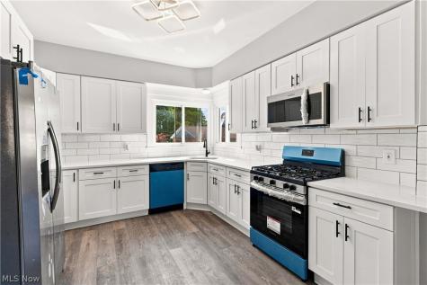 3223 W Pleasant Valley Road Parma OH 44134