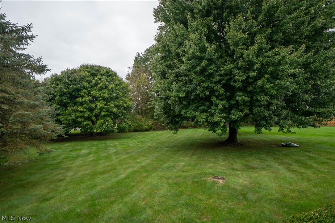 8019 Blendwood Avenue NE Canton OH 44721