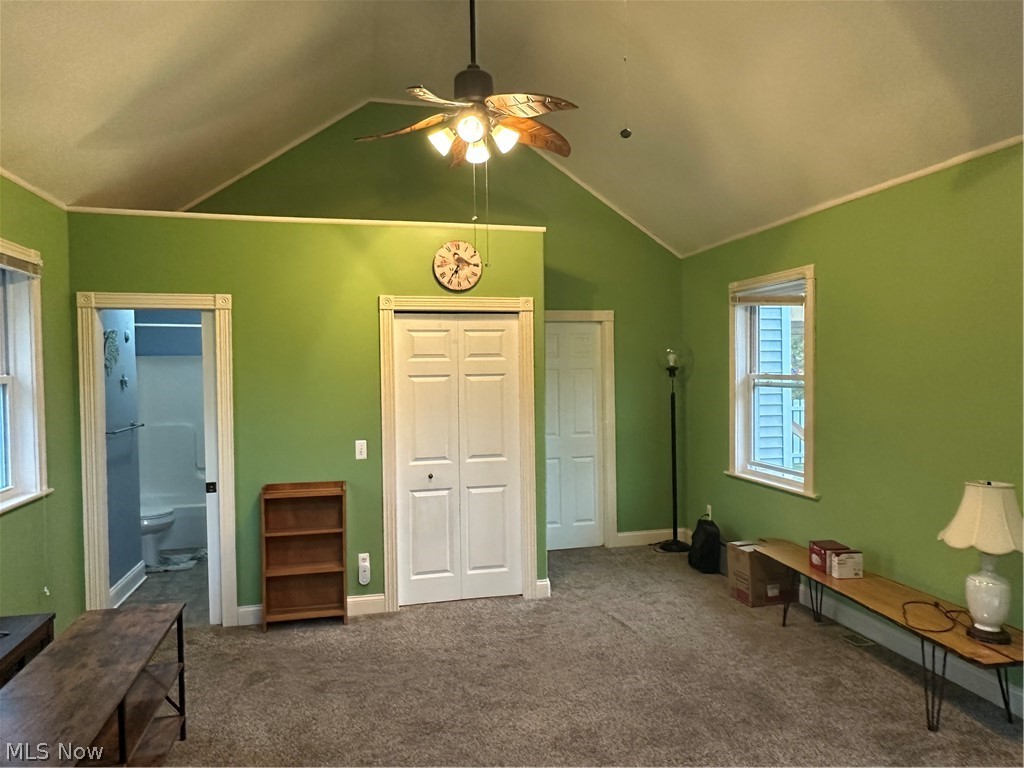117 Magyar Street Wellington OH 44090