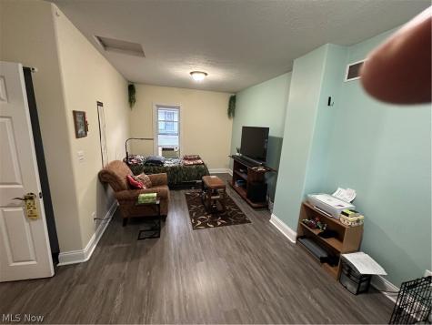 117 Magyar Street Wellington OH 44090