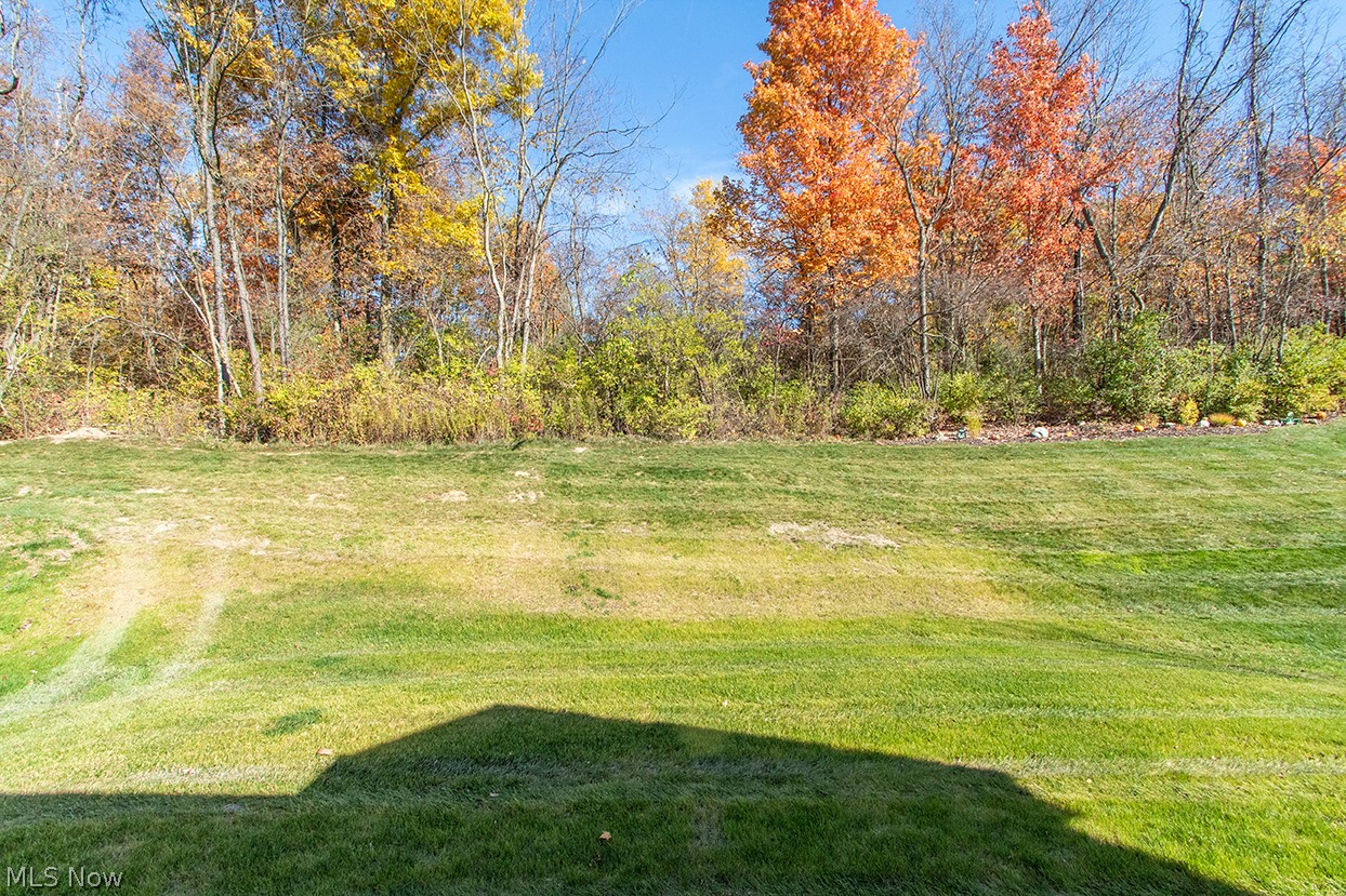 6113 Grey Heron Drive Medina OH 44256