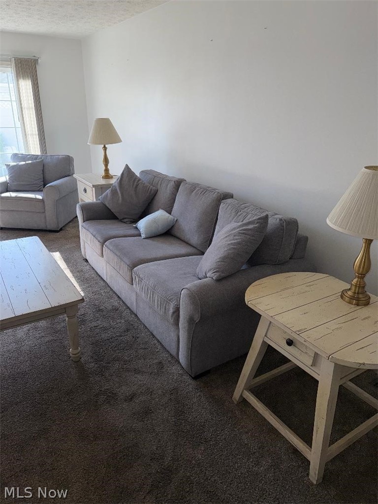 326 Breckenridge Oval Elyria OH 44035