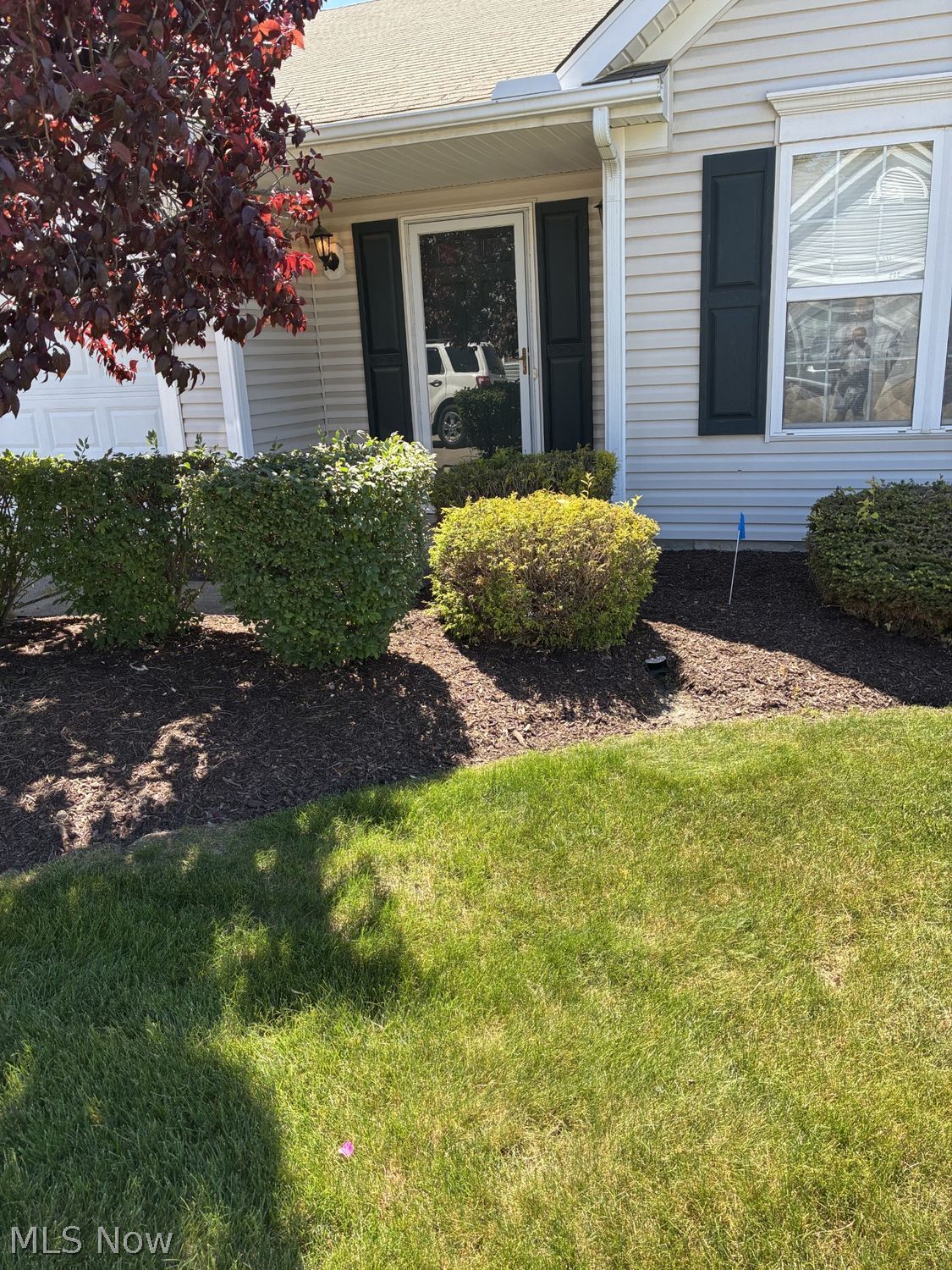 326 Breckenridge Oval Elyria OH 44035