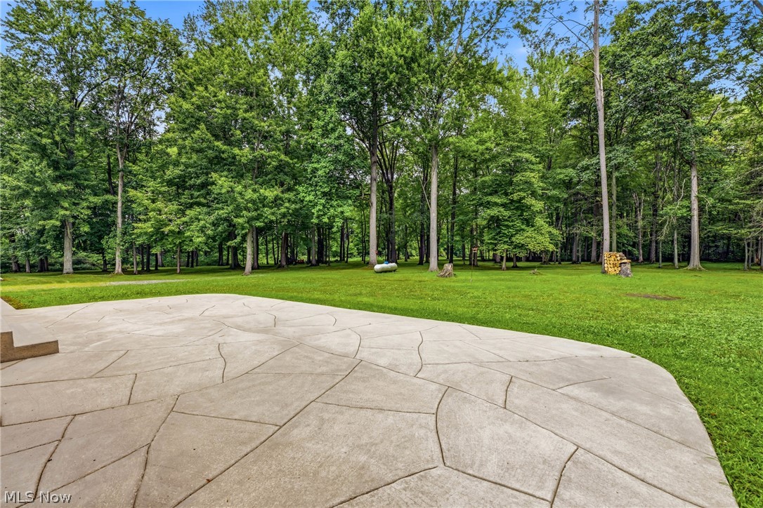 2930 Selkirk Bush Road SW Warren OH 44481
