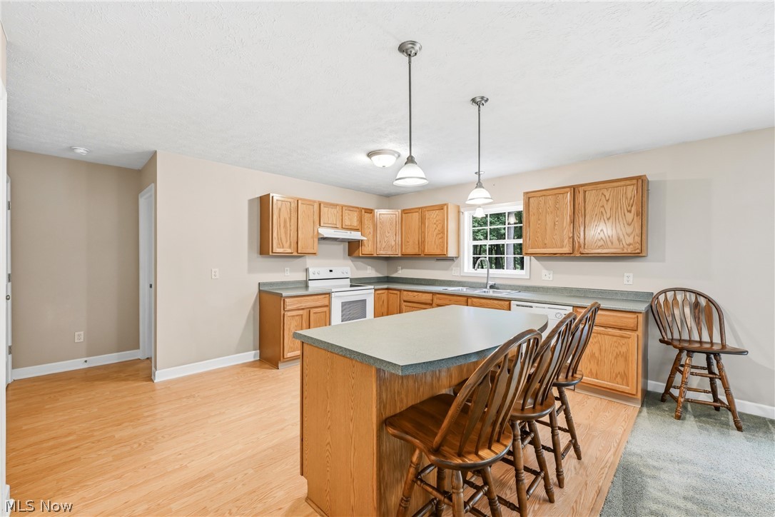 2930 Selkirk Bush Road SW Warren OH 44481