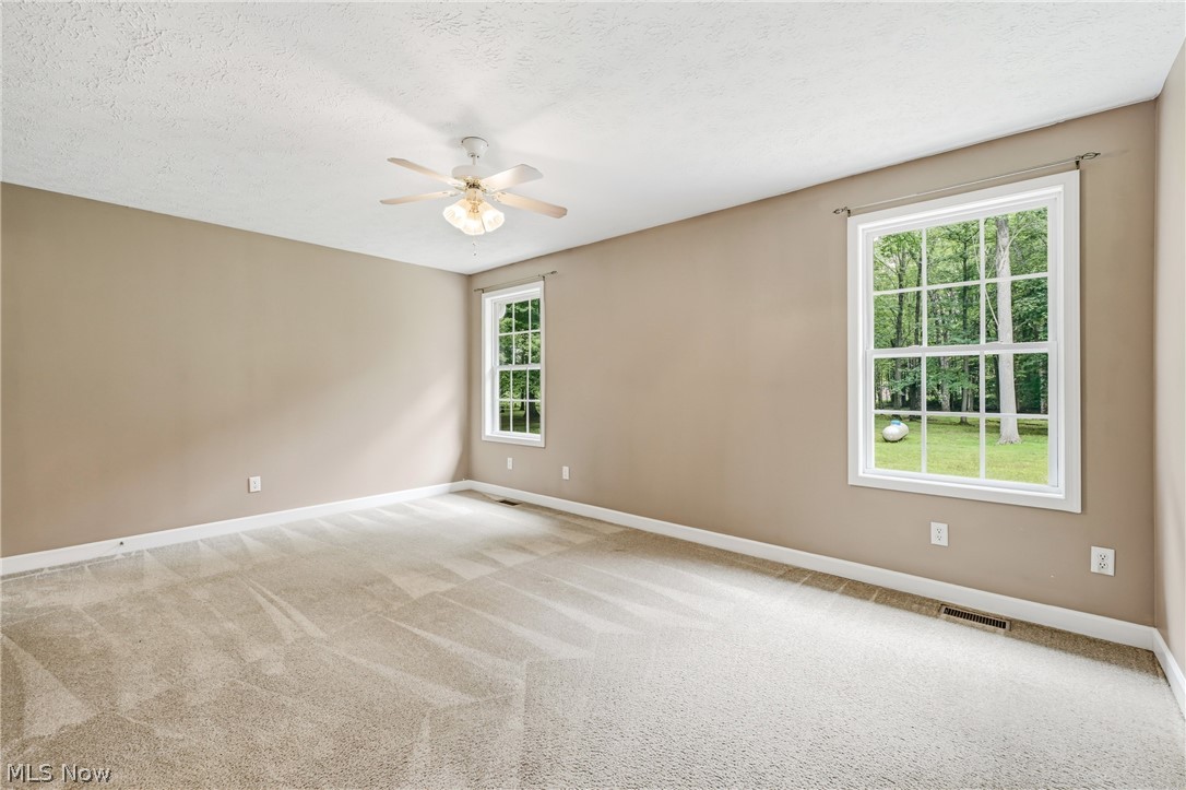 2930 Selkirk Bush Road SW Warren OH 44481