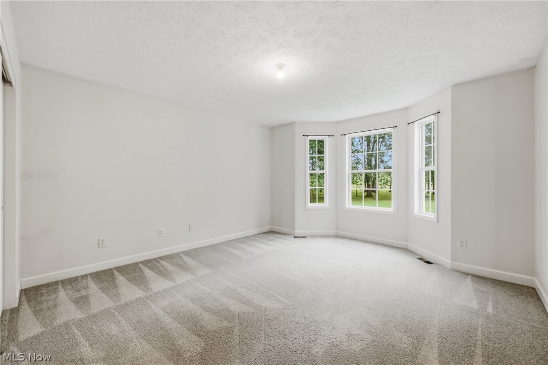 2930 Selkirk Bush Road SW Warren OH 44481