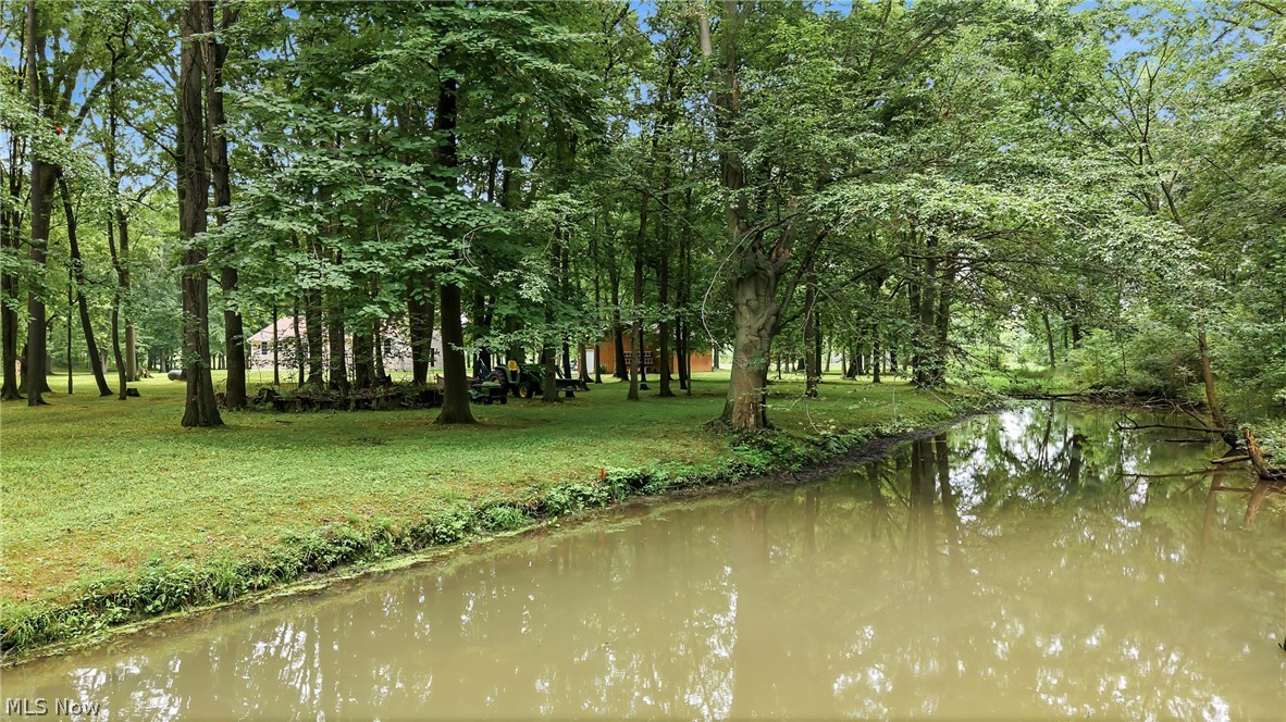 2930 Selkirk Bush Road SW Warren OH 44481