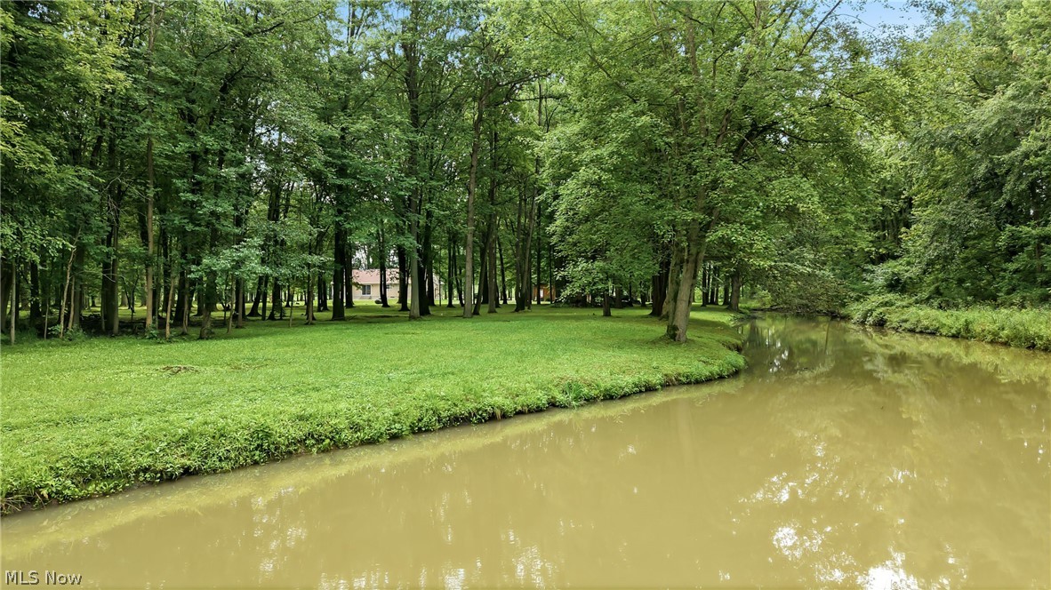 2930 Selkirk Bush Road SW Warren OH 44481