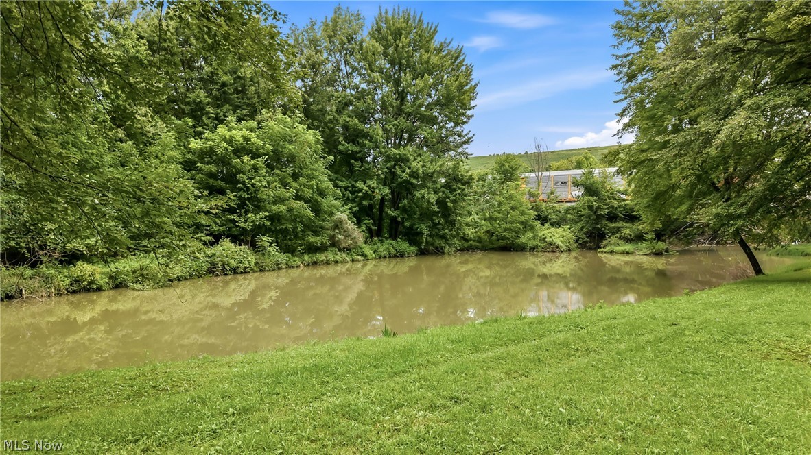 2930 Selkirk Bush Road SW Warren OH 44481