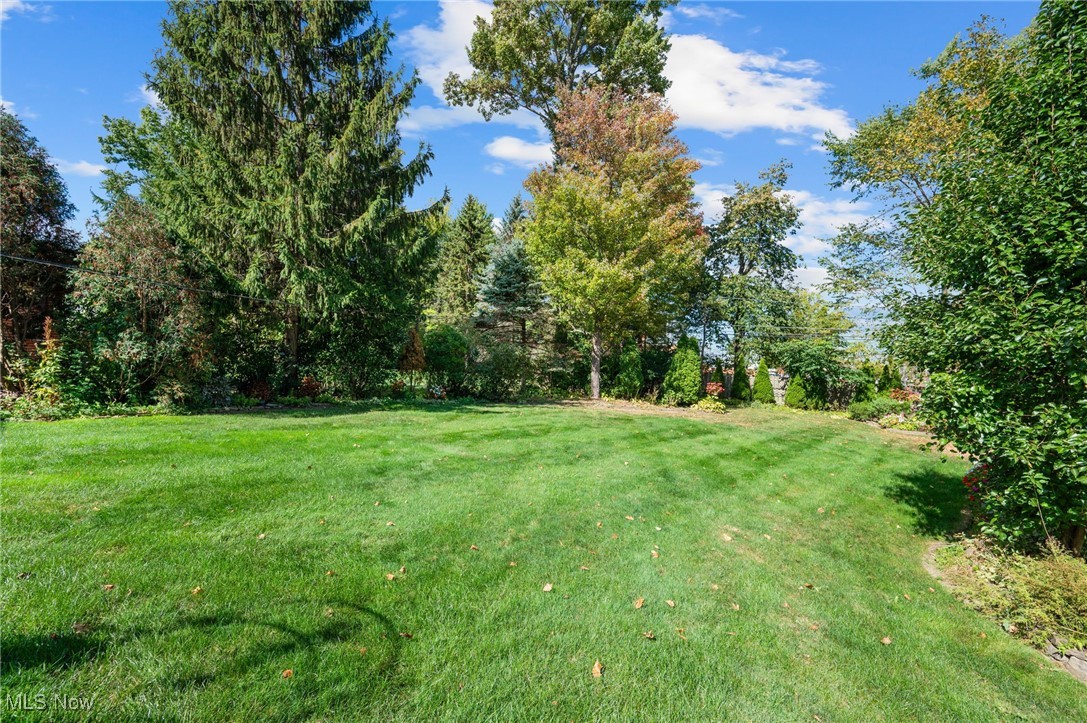 6807 Larchmont Drive Mayfield Heights OH 44124