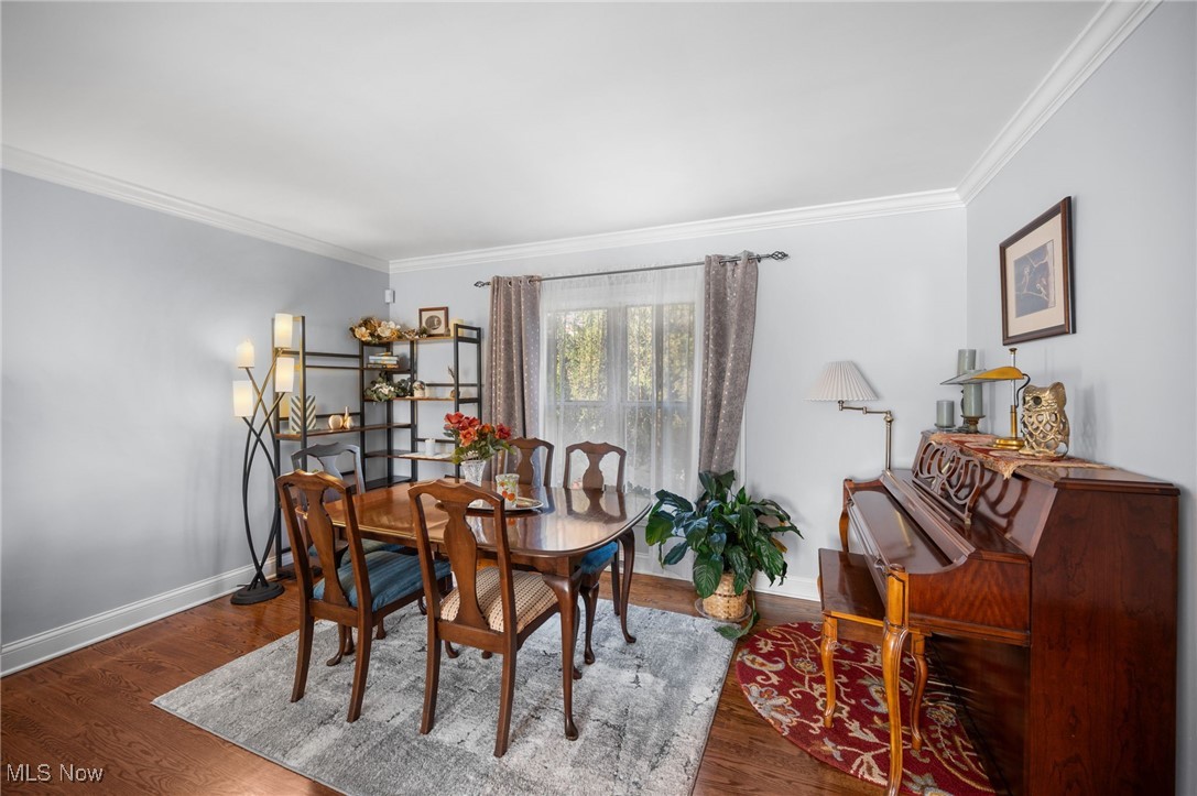 6807 Larchmont Drive Mayfield Heights OH 44124