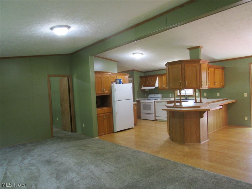 888 Long Shadow Lane Roaming Shores OH 44085