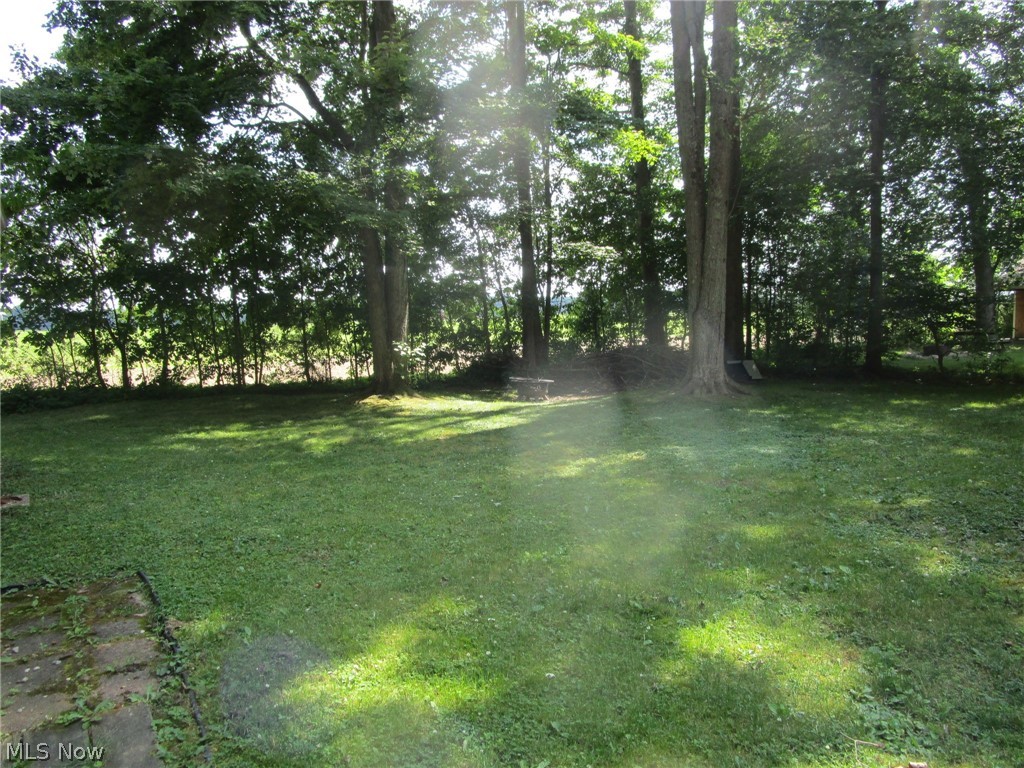888 Long Shadow Lane Roaming Shores OH 44085