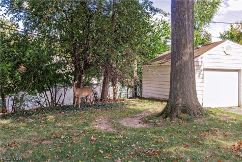 16897 Mapleboro Avenue Maple Heights OH 44137